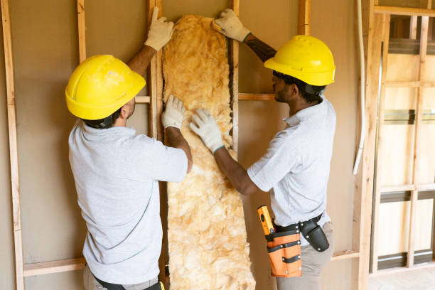 Best Insulation Replacement  in USA